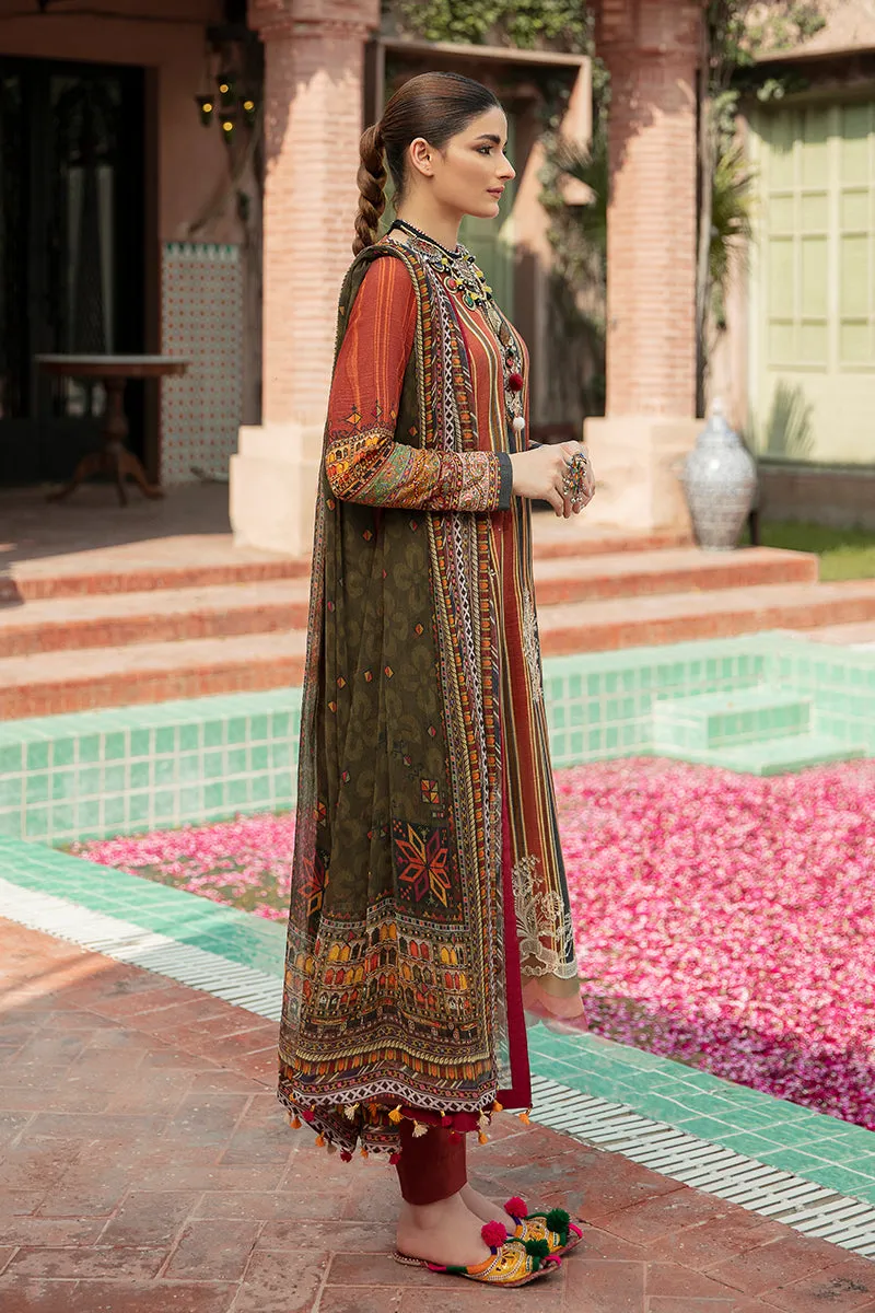 Faixa Faixal · Naazaan Fall/Winter Collection – Iffat